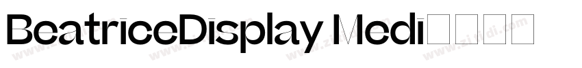 BeatriceDisplay Medi字体转换